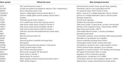 Analysis of GWAS-Derived Schizophrenia Genes for Links to Ischemia-Hypoxia Response of the Brain